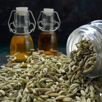 Fennel seed essential oil for the kitchen, specially curated for an enhanced digestive system by GOELD